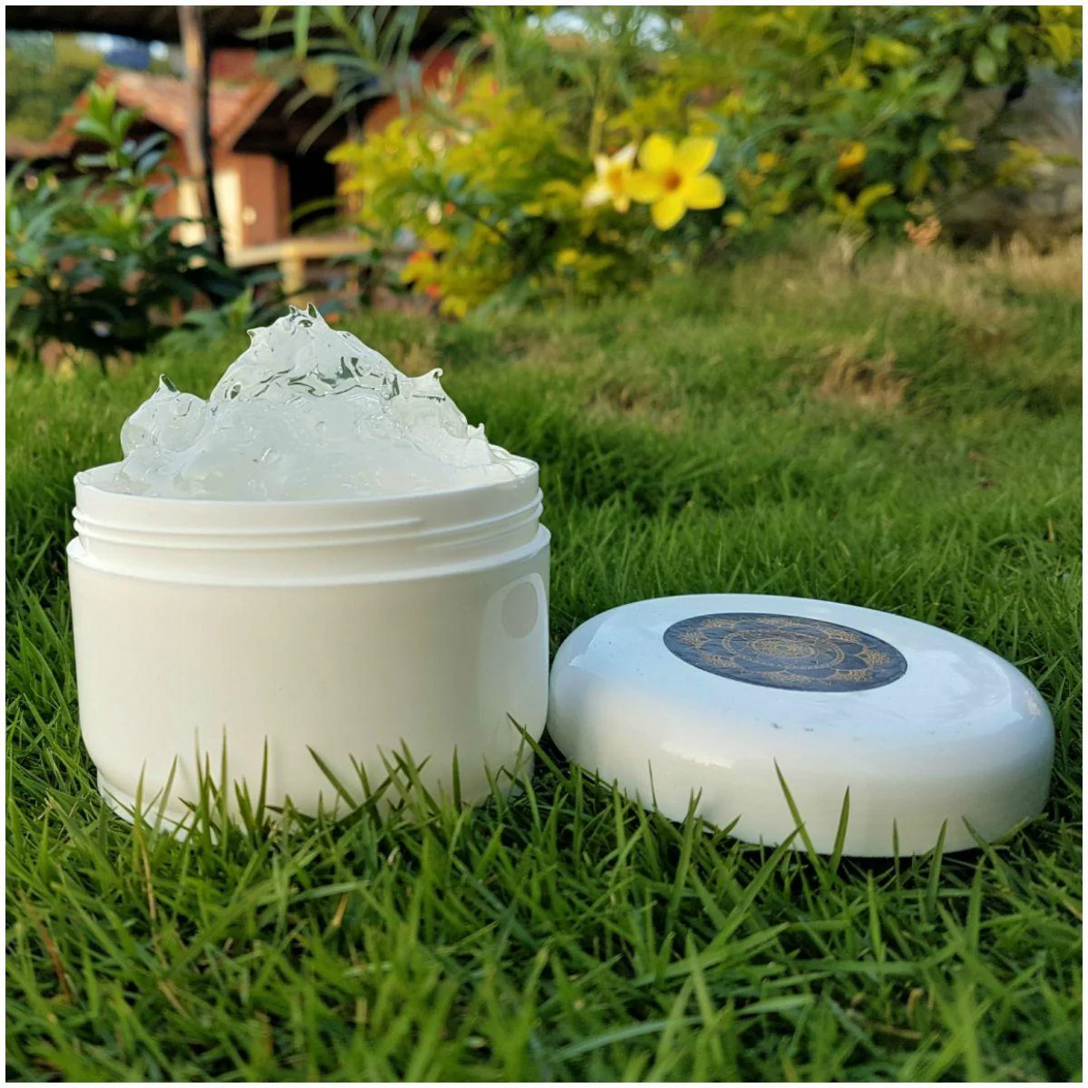 Pure Aloevera Gel 230g Jar